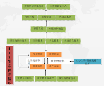 ETS复合微生物菌群打造高效生态循环农业系统